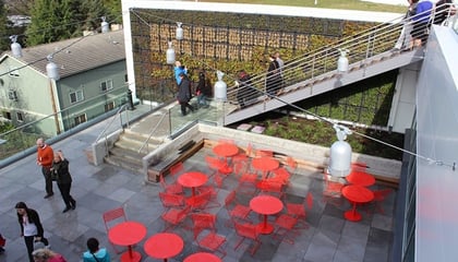 Google Campus